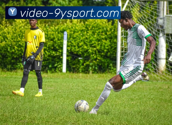 九游体育官方网站发展历程